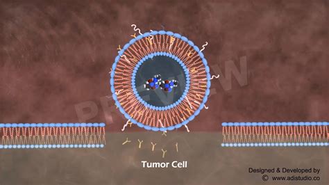 ADI STUDIO (MEDICAL ANIMATION) - Liposome Nanoparticles - YouTube