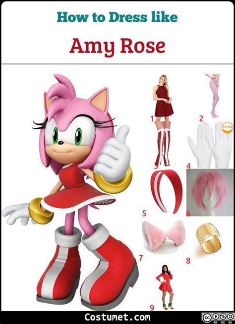 Amy Rose (Sonic the Hedgehog) Costume for Cosplay & Halloween 2022 ...