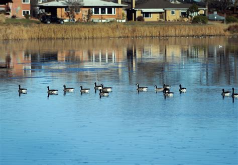 Denver parks: "Every neighborhood" will benefit from tax