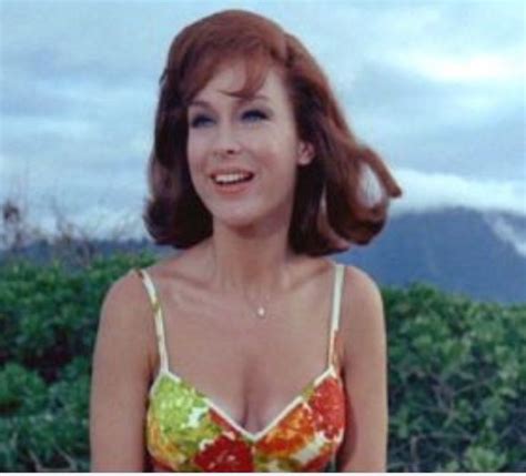 Barbara Eden in Ride the Wild Surf, 1964. | Barbara eden, Jerry lee ...