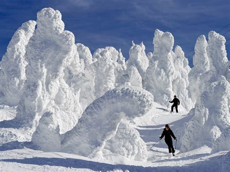 Enormous Snow Sculptures in Japan | Magnificent Japan