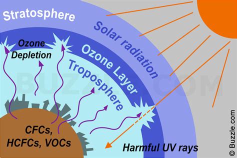 Causes and Effects of Ozone depletion - Ozone Hole ~ Biology Exams 4 U