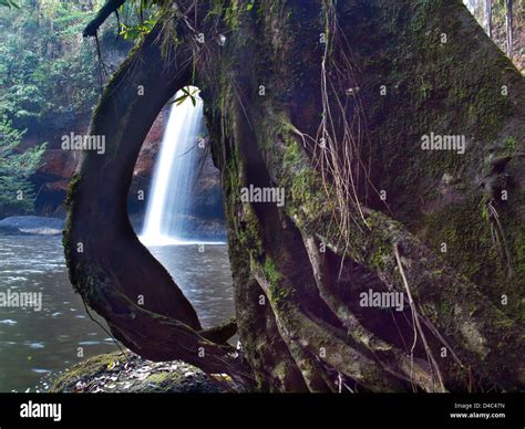 Waterfall in deep forest Stock Photo - Alamy