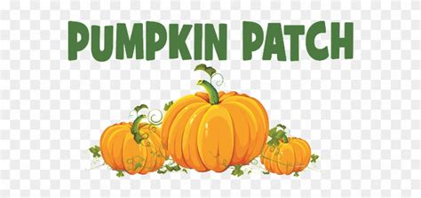 Pumpkin-patch - Pumpkin Patch Clip Art - Free Transparent PNG Clipart ...