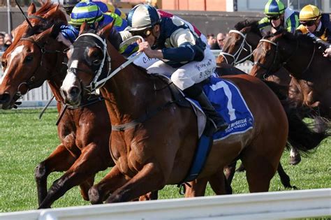 Caulfield Cup final field and barrier draw