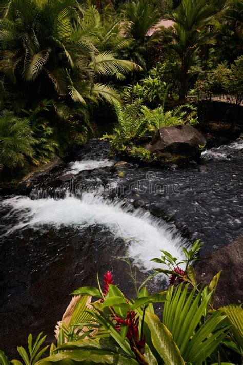 Tabacon Hot Springs, Geothermal Waterfall in La Fortuna Arenal Volcano ...