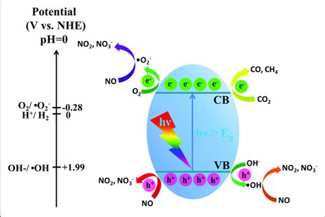 | Schematic illustration of the photocatalytic process over the g-C3N4 ...