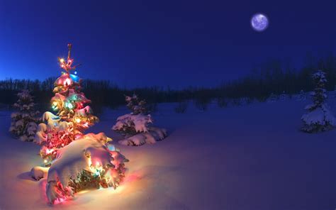 Christmas Tree Snow Wallpaper (73+ images)