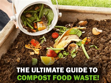 The Ultimate Guide To compost food waste - ECEPL