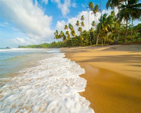 7 Best Beaches in Trinidad and Tobago