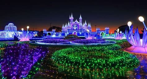 Magical Winter Lights Discount Tickets $17 | Jan 2025 - Any Tots