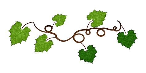 Grapes vine background with its branches and leaves. 22577124 Vector ...