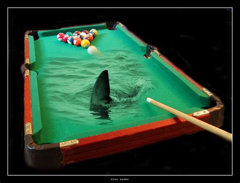 Pool shark by Pixelcoma on DeviantArt