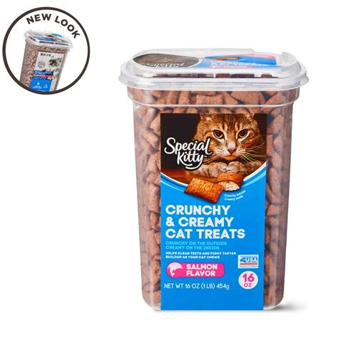 Special Kitty Crunchy & Creamy Cat Treats, Salmon Flavor, 16 oz ...