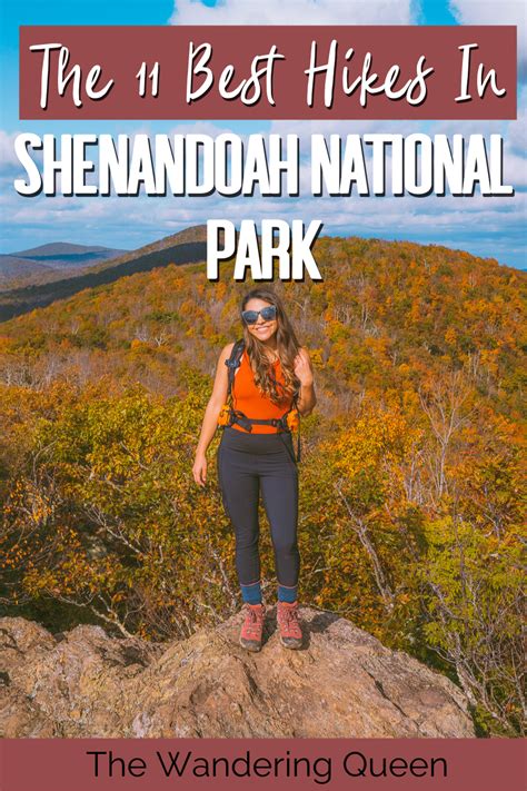 Are Dogs Allowed In Shenandoah National Park