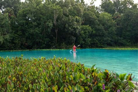 An insider’s Guide to Alexander Springs – Visit Lake – Lake County, FL ...