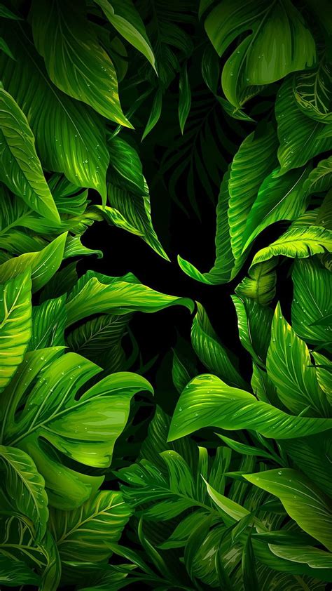 Hd Green Leaves Background