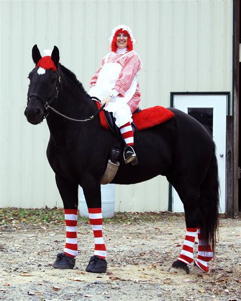 Halloween Horse Costume