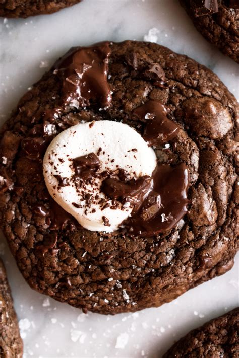 Hot Cocoa Cookies - The Original Dish