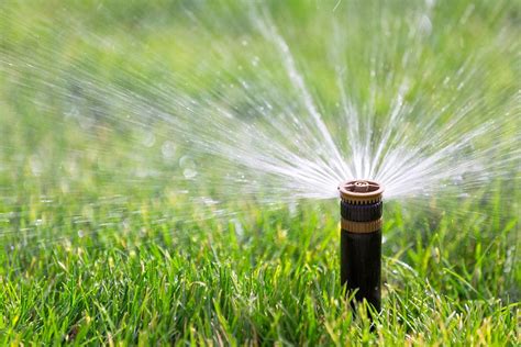 Types of Sprinkler Heads: What Does Your Yard Need?