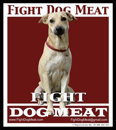 Posters - Fight Dog Meat