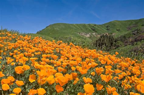 Southern California Hiking Trails: Chino Hills State Park