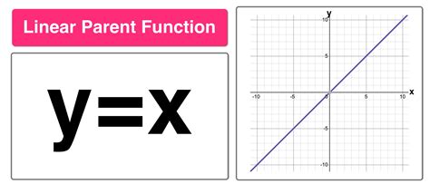 Function