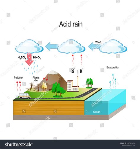 7.567 Acid Rain Images, Stock Photos, 3D objects, & Vectors | Shutterstock