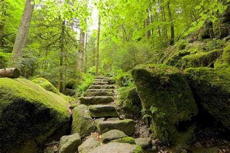 A hiking trail in the Black Forest, Germany. The Black Forest Railway ...