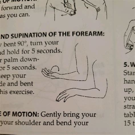 Pronation And Supination Of The Forearm by Jake Penner - Exercise How ...