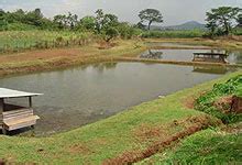 Beautiful Sceneries of Kenyan Republic: SAGANA FISH FARM IN KIRINYAGA ...