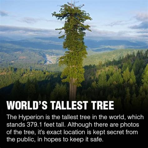 #Pets #Dogs #Cats #Cute | Interesting facts about world, Weird facts ...