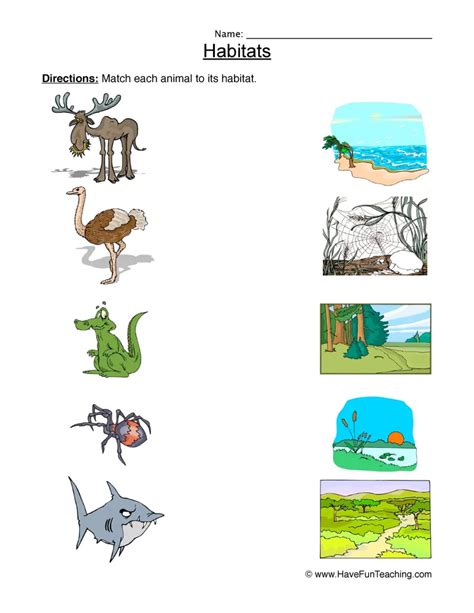 Animals And Their Habitats Worksheets