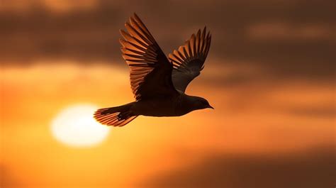 Un pájaro volando en el cielo con el sol detrás. | Foto Premium