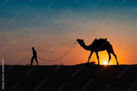 Camel ride at Thar desert, Rajasthan, India Stock Photo | Adobe Stock