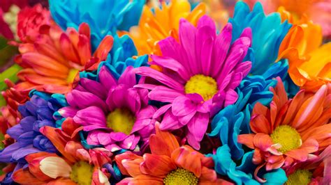 Colorful Flowers 4K Wallpapers | HD Wallpapers | ID #28638