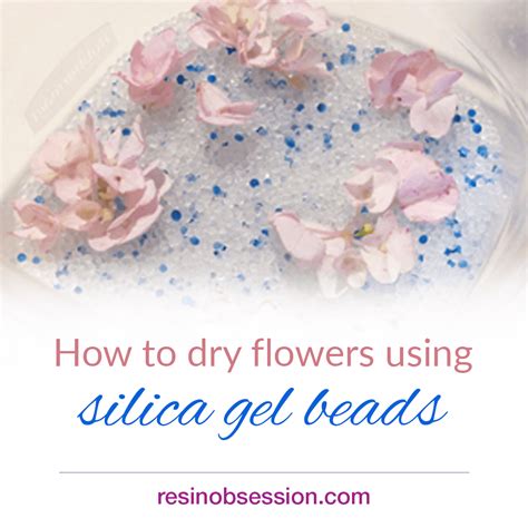 Drying Flowers With Silica Gel In Microwave / Wisedry Silica Gel Silica ...