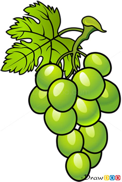 Drawing Of Grapes - ClipArt Best