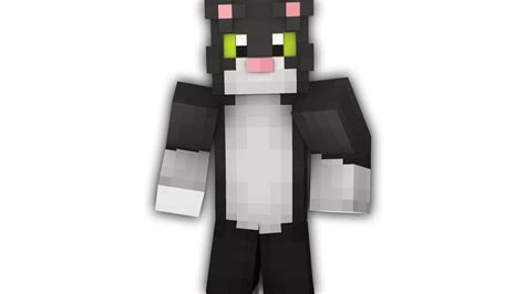 Tuxedo Cat Minecraft Skin