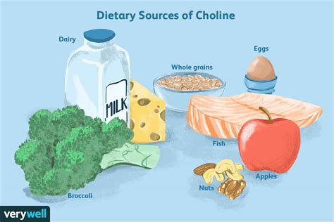 Choline: Uses, Benefits, Side Effects, and Dosage