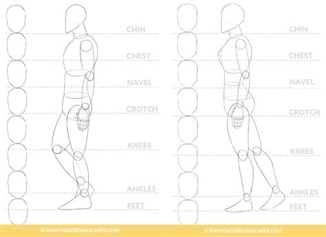 Male Body Proportions Anime Heres my 7 head proportion for anime figures