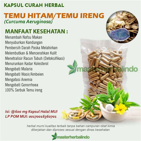 Jual TEMU HITAM IRENG 100 Kapsul Herbal Kesuburan Gonorrhoea Kurap ...