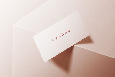 Logo Mockup Business Card | Creative Branding Mockups ~ Creative Market