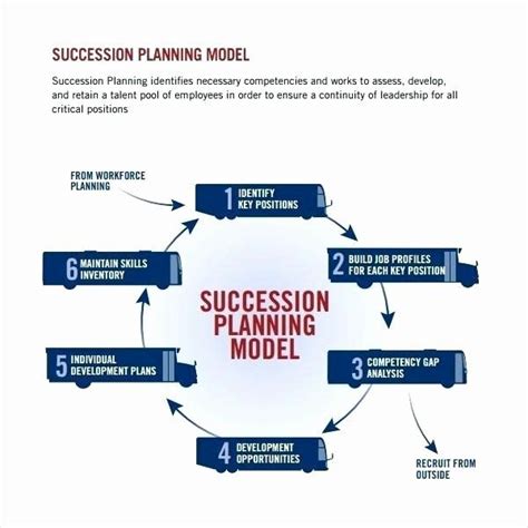 Simple Succession Plan Template Luxury Business Introduction Letter ...