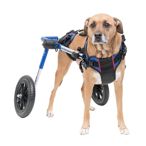 Products for Handicapped & Disabled Pets Supplies - Dog Wheelchair