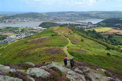 View east along Conwy Mountain © David Martin :: Geograph Britain and ...