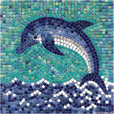 Dolphin Archives - Mosaic Stories US