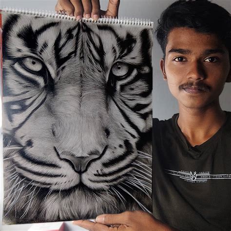 Realistic Tiger Drawings