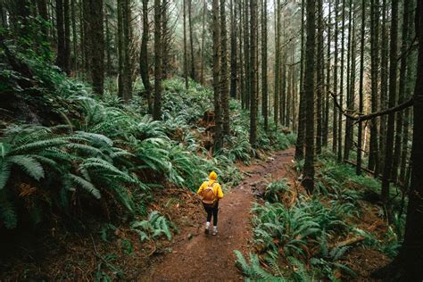 Hiking In The Pacific Northwest: 10+ Insanely Useful Tips For Your Next ...