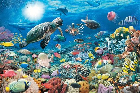 an underwater scene with sea animals and fish